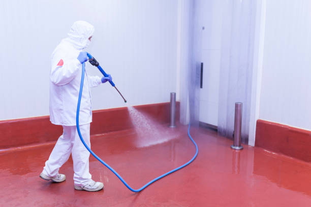 Best Driveway Cleaning and Restoration in Polkton, NC